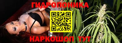 первитин Новодвинск