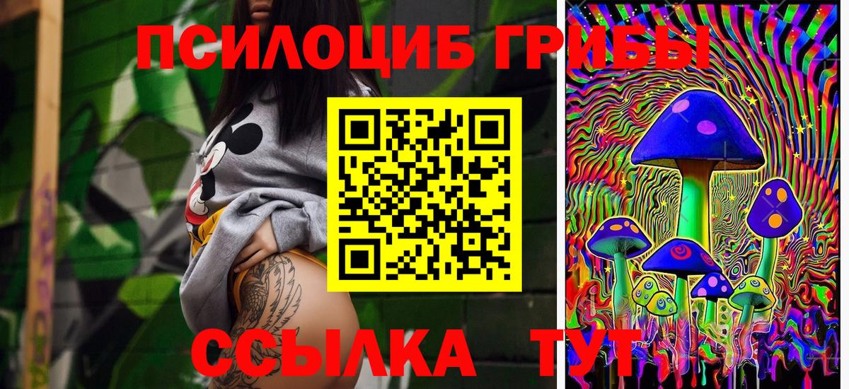Псилоцибиновые грибы Psilocybe Оренбург