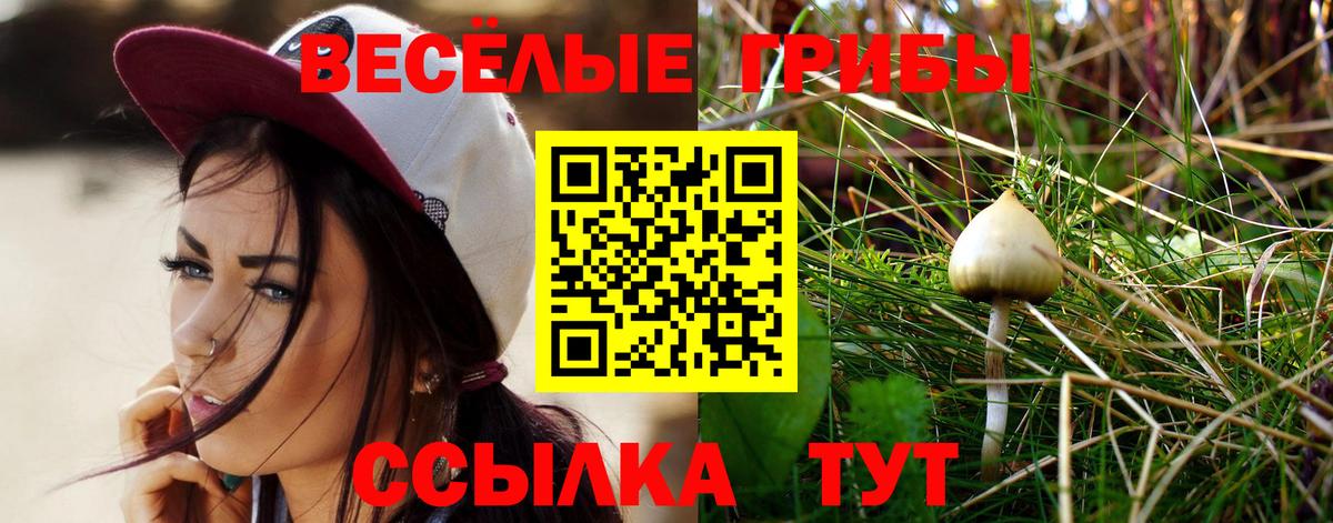 Галлюциногенные грибы MAGIC MUSHROOMS  Вход с VPN  купить наркотик  Галлюциногенные грибы Cubensis  Оренбург 